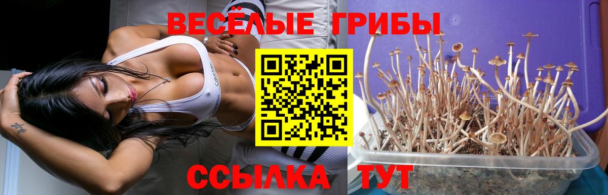 Галлюциногенные грибы мицелий Ейск