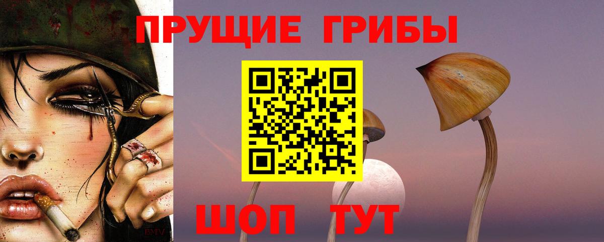 Псилоцибиновые грибы Psilocybine cubensis  Вход с VPN  Псилоцибиновые грибы мицелий  Ейск 